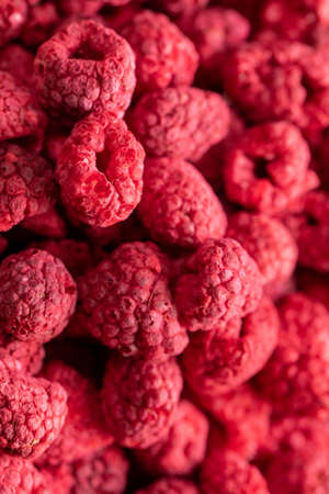 Macro shot of freeze dried organic raspberries, raw delicious snack, cooking baking ingredients. Red berries background. Natural sugars, healthy food, fresh fruits, mindful eating concept, text spaceの写真素材