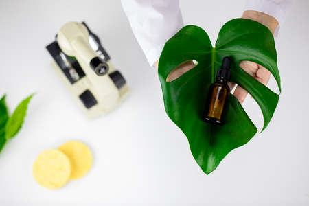 Face serum on green leaf on white lab background, plant-based cosmetics conceptの写真素材