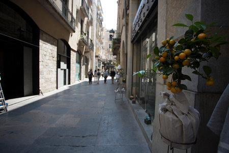 Girona, Spain, May 1, 2020 - Orange tree in pot at entrance to store, tourists in blurry background. concept of tourism in Catalonia, shopping, natural products shop. Copy spaceのeditorial素材