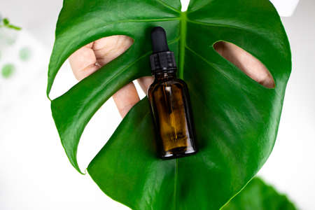 female hands hold plant extract in Brown glass bottle on huge oily plant leafの写真素材
