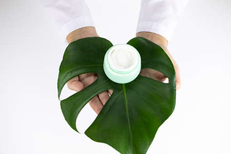 cosmetologist hands hold face and hand cream in jar on oily tropical plant leafの写真素材