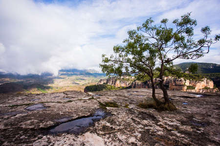 Siurana, Tarragona, Spain, May 1, 2020 - pair of trees grow on rock above clouds. picturesque scenic View of Priorat Mountains In bright sunlight. struggle, thirst for life, love conceptのeditorial素材