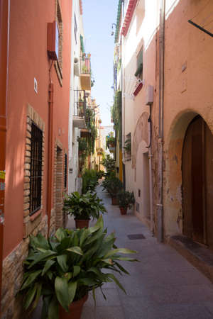 Cambrils, Spain, May 1, 2020 - cozy narrow street in old part of town with many potted plants. proper urbanism. No people beautiful cityscape of historic buildings. Terracotta-colored worn wallsのeditorial素材