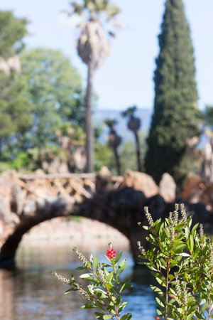 Cambrils, Spain, May 1, 2020 - Exotic plants in Botanical Garden Park Sama on backdrop of stone bridge reflected in emerald green water. Digital detox, harmony with nature concept.の写真素材