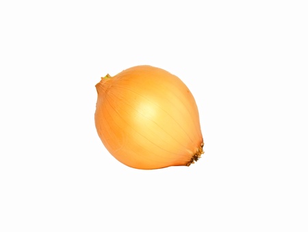 Onion . Isolated over whiteの写真素材