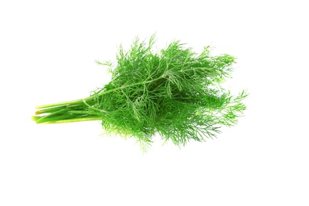 Bunch of dill on white background. Isolated over whiteの写真素材