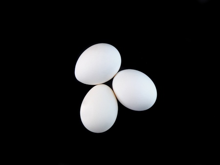 Easter eggs on colour background. Close-Upの写真素材