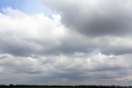 Violet ebonite chinchilla on white background. Isolatedの写真素材