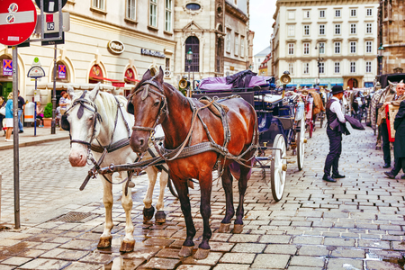 VIENNA, AUSTRIA- SEPTEMBER 10, 2015: Carriage horses walking in the streets of one of the most beautiful European cities - Vienna.Austriaのeditorial素材