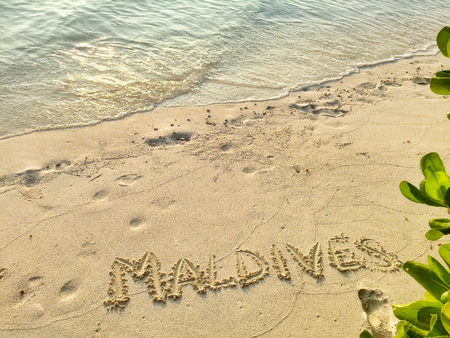 Inscription "Maldives" in the sand on a tropical island,  Maldives.の写真素材