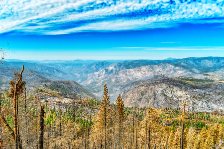 Magnificent national American natural park - Yosemite. California. USA.の写真素材