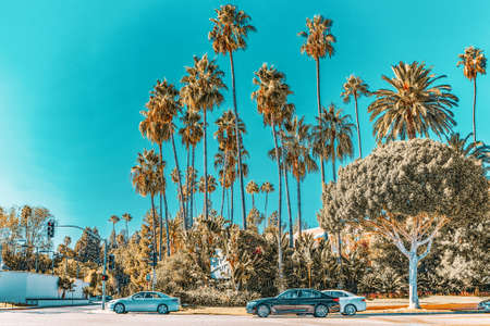 Urban views of the Beverly Hills area and residential buildings on the Hollywood hills. California. USA.のeditorial素材