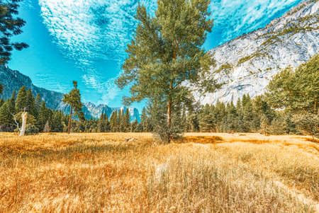 Yosemite Valley. Magnificent national American natural park - Yosemite. California. USA.の写真素材