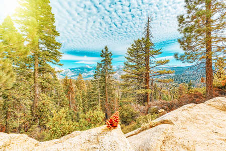Magnificent national American natural park - Yosemite. California. USA.