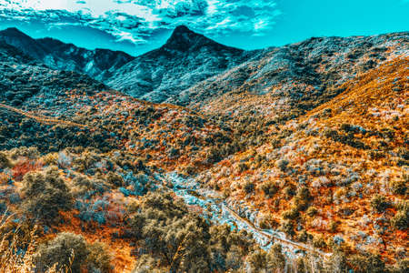 Natural landscapes road views  of the United States of America.の写真素材