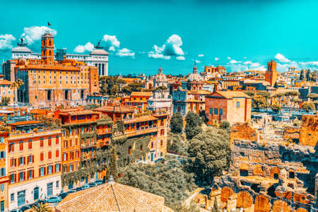 View from the Roman Forum and Palatine Hill(Collina del Palatino ) on top of Rome.