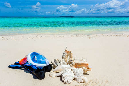 Underwater shells, flippers, and an underwater mask on the sand on the shores of the Indian Ocean....