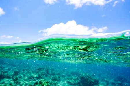 The magnificent underwater world of the Maldives. Omadhoo (Alif Dhaal Atoll)の写真素材