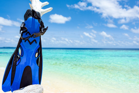 Flippers on the shore of the Indian Ocean. Maldives.  Maldives Islands.