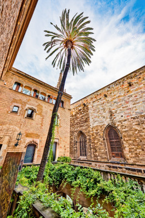 Inner courtyard of Cathedral of the Holy Cross.  Barcelona. Spain.の写真素材