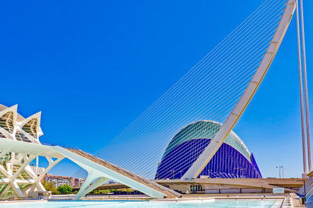 City of Arts and Sciences. Valencia. Spain.の写真素材