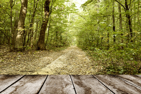 wood texture. background old panelsの写真素材