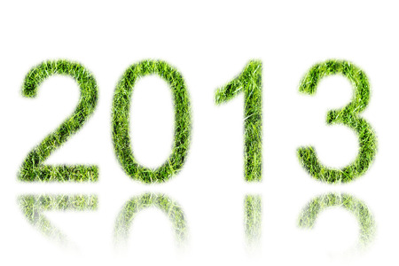 2013 New Year sign of green grassの写真素材