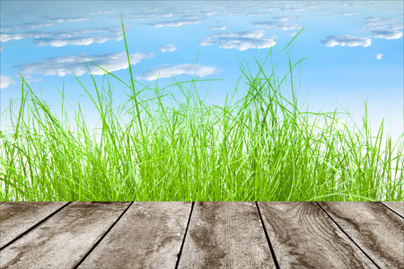 wood textured backgrounds in a room interior on the sky field backgroundsの写真素材