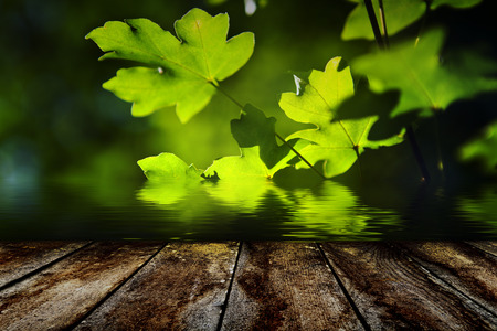 wood textured backgroundsの写真素材