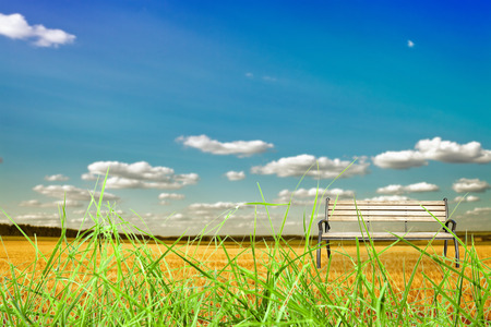 Beautiful spring field with the blue skyの写真素材