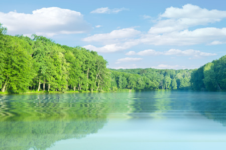 Picturesque forest and the riverの写真素材