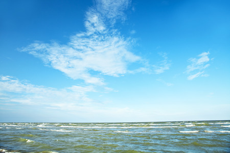 Nature seascape with seagull in blue skyの写真素材