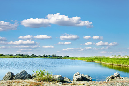 Picturesque forest and the riverの写真素材