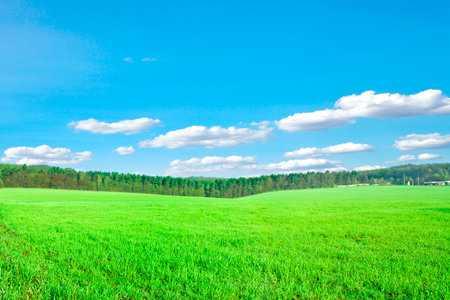 Green field under blue sky. Beauty nature backgroundの写真素材