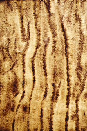 Old yellow paper textureの写真素材