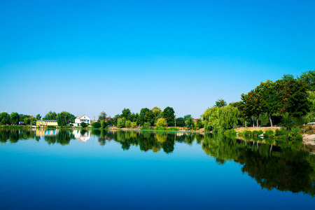 Picturesque forest and the river