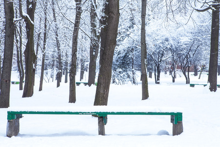 Benches in the winter city park which has been filled up with snowの写真素材