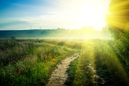 wheat fieldの写真素材
