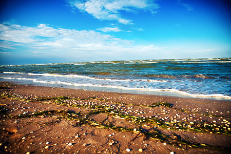 Nature seascape with seagull in blue skyの写真素材