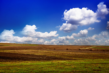 Beautiful spring field with the blue skyの写真素材