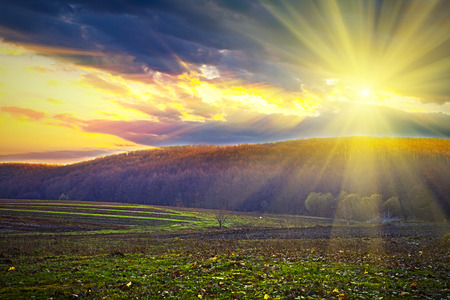 Beautiful spring field with the blue skyの写真素材
