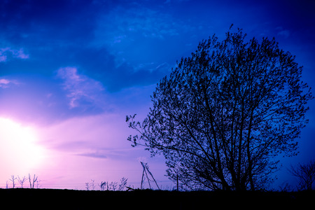 beautiful sunset is in the fieldの写真素材