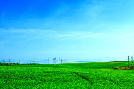 Beautiful spring field with the blue skyの写真素材