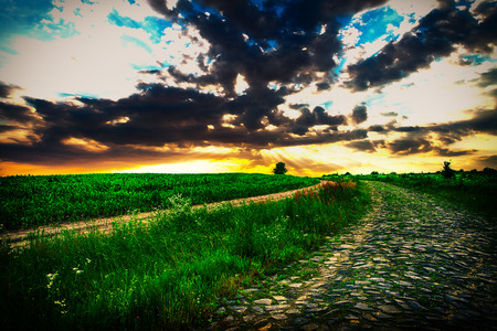 Beatiful morning green field with blue heavenの写真素材