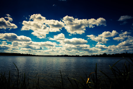 Picturesque forest and the riverの写真素材