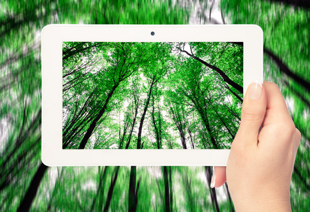 tablet computer in hand on the forest backgroundsの写真素材