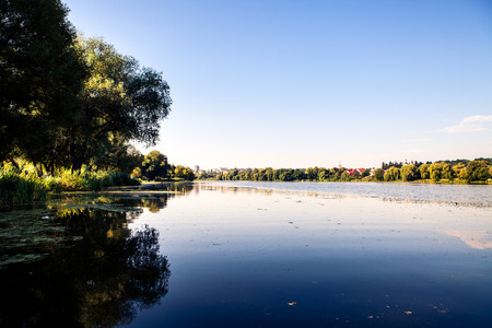 Picturesque forest and the riverの写真素材