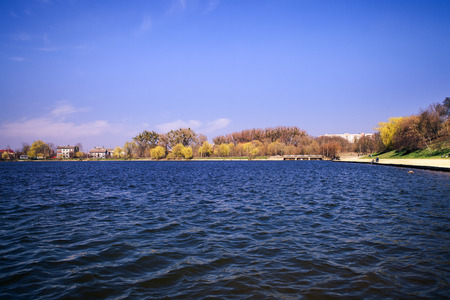 Picturesque forest and the river