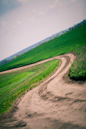 Beatiful morning green field with blue heavenの写真素材