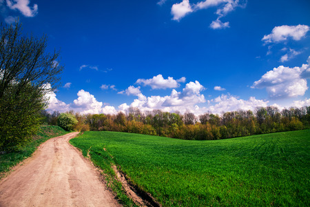 Beatiful morning green field with blue heavenの写真素材
